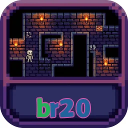 br20